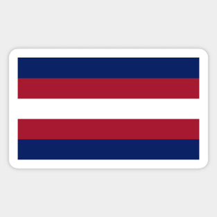 New York Color Stripes Magnet